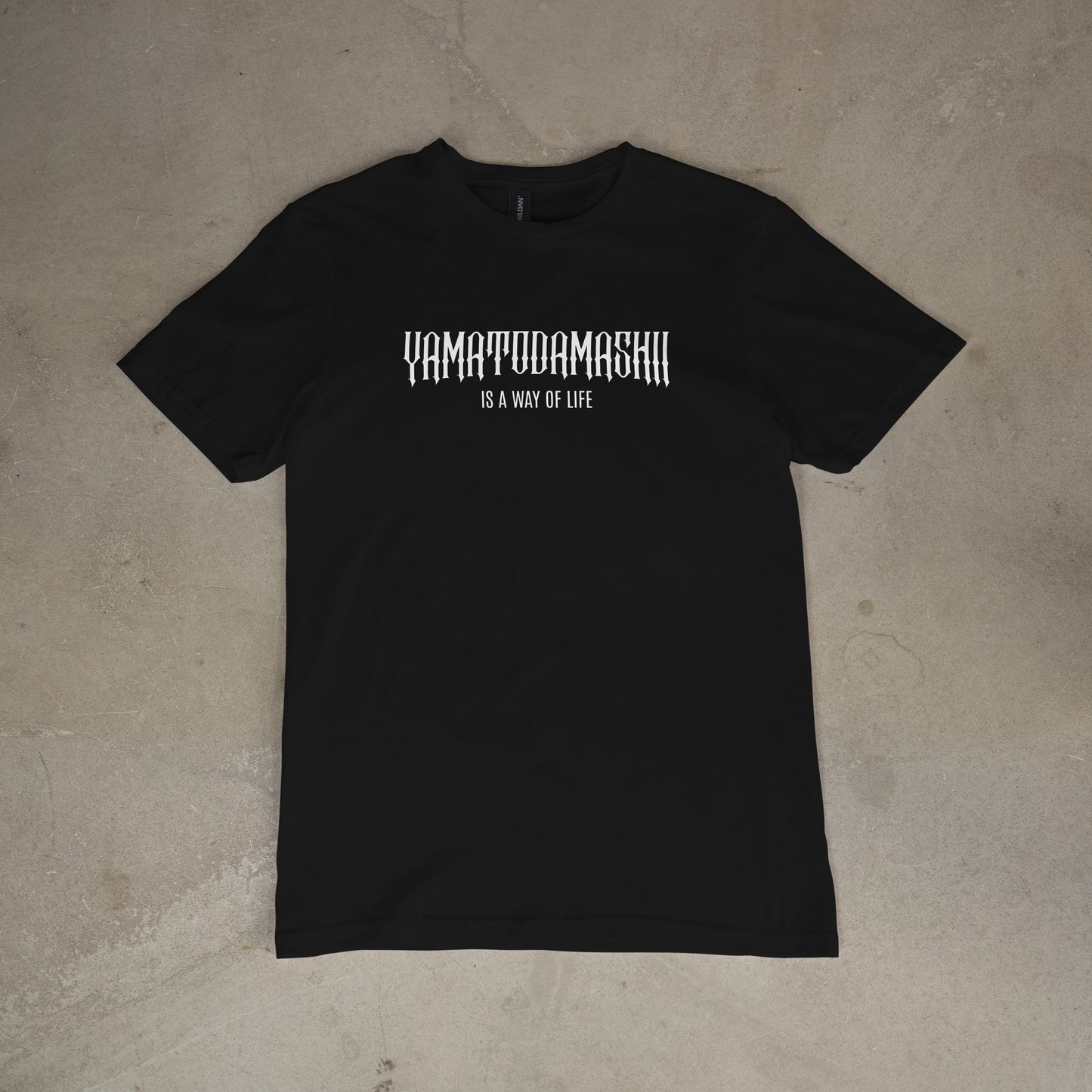Warrior's Discipline T-Shirt Pre-Order